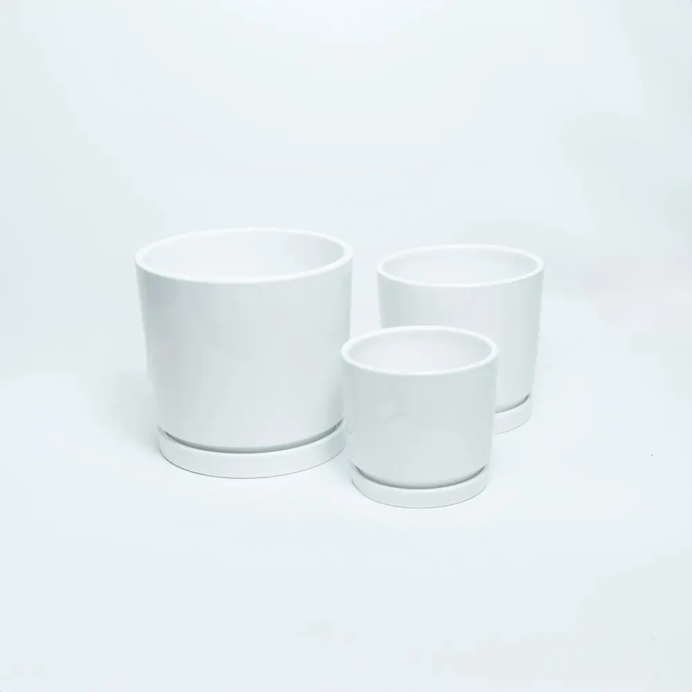 White Ceramic Pot