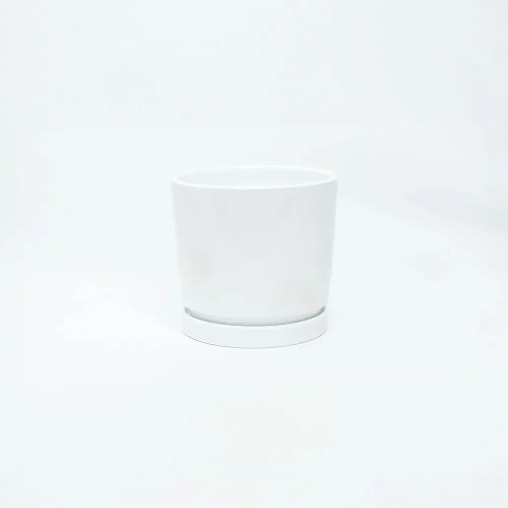 White Ceramic Pot