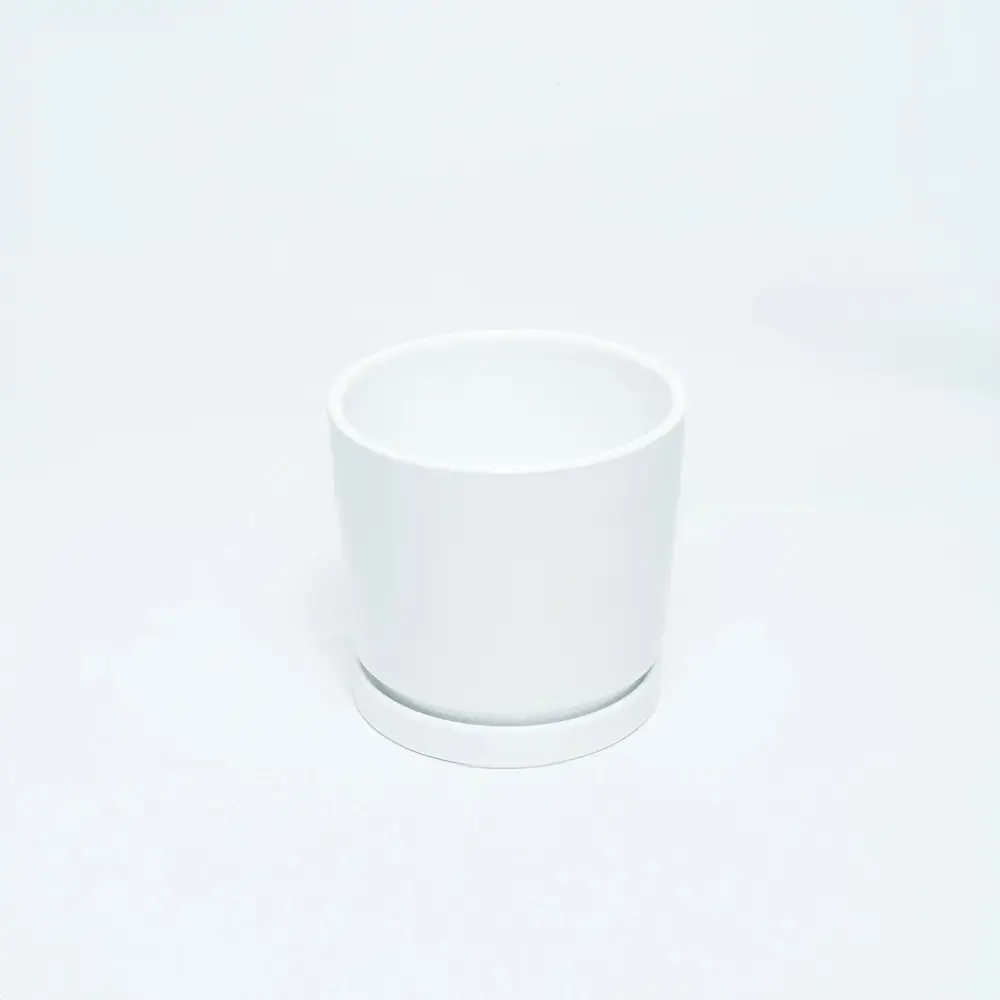 White Ceramic Pot