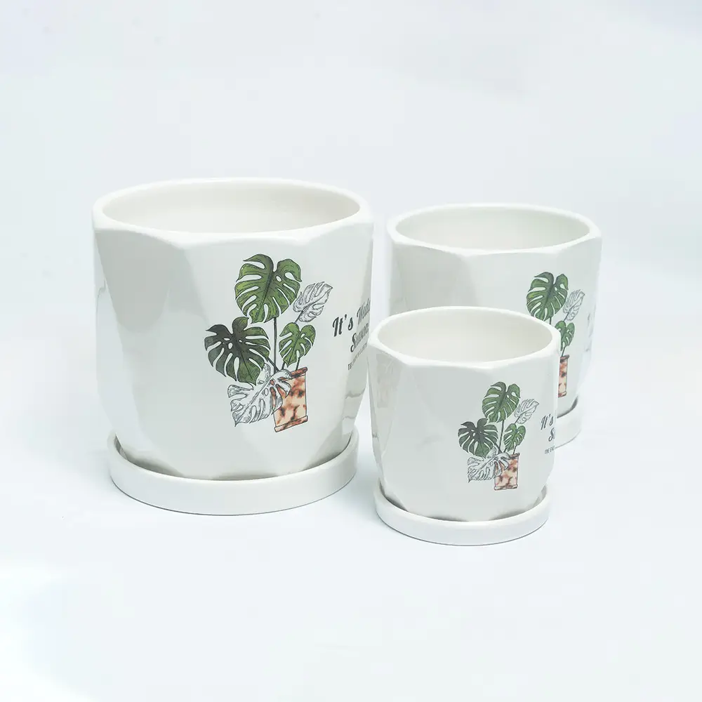 Ceramic Flower Designed Pot