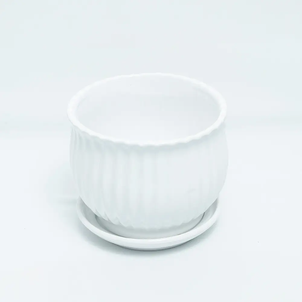 Ceramic White Stripe Pot