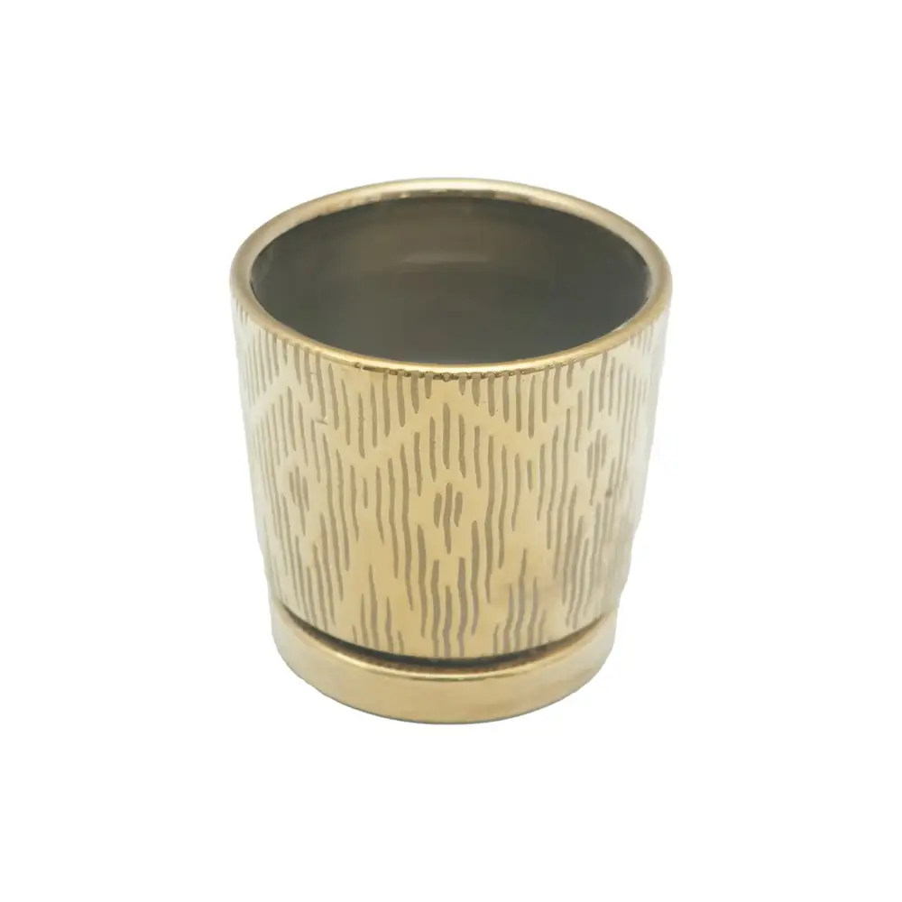 Gold Platted Pot