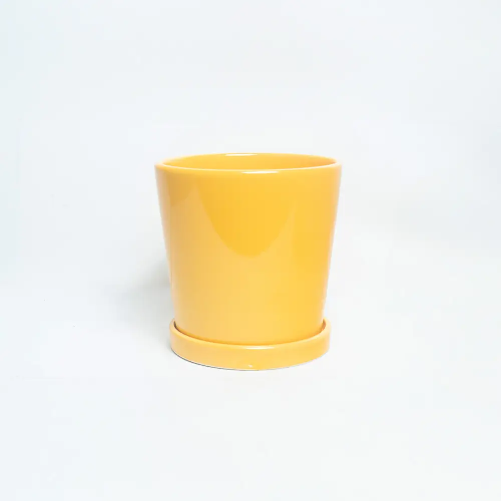 Yellow Color Ceramic Pot