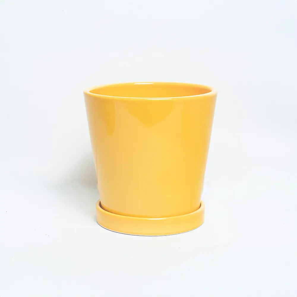 Yellow Color Ceramic Pot