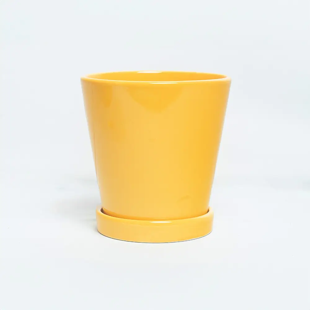 Yellow Color Ceramic Pot