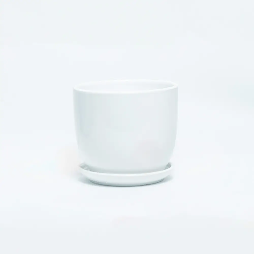 Ceramic White Pot